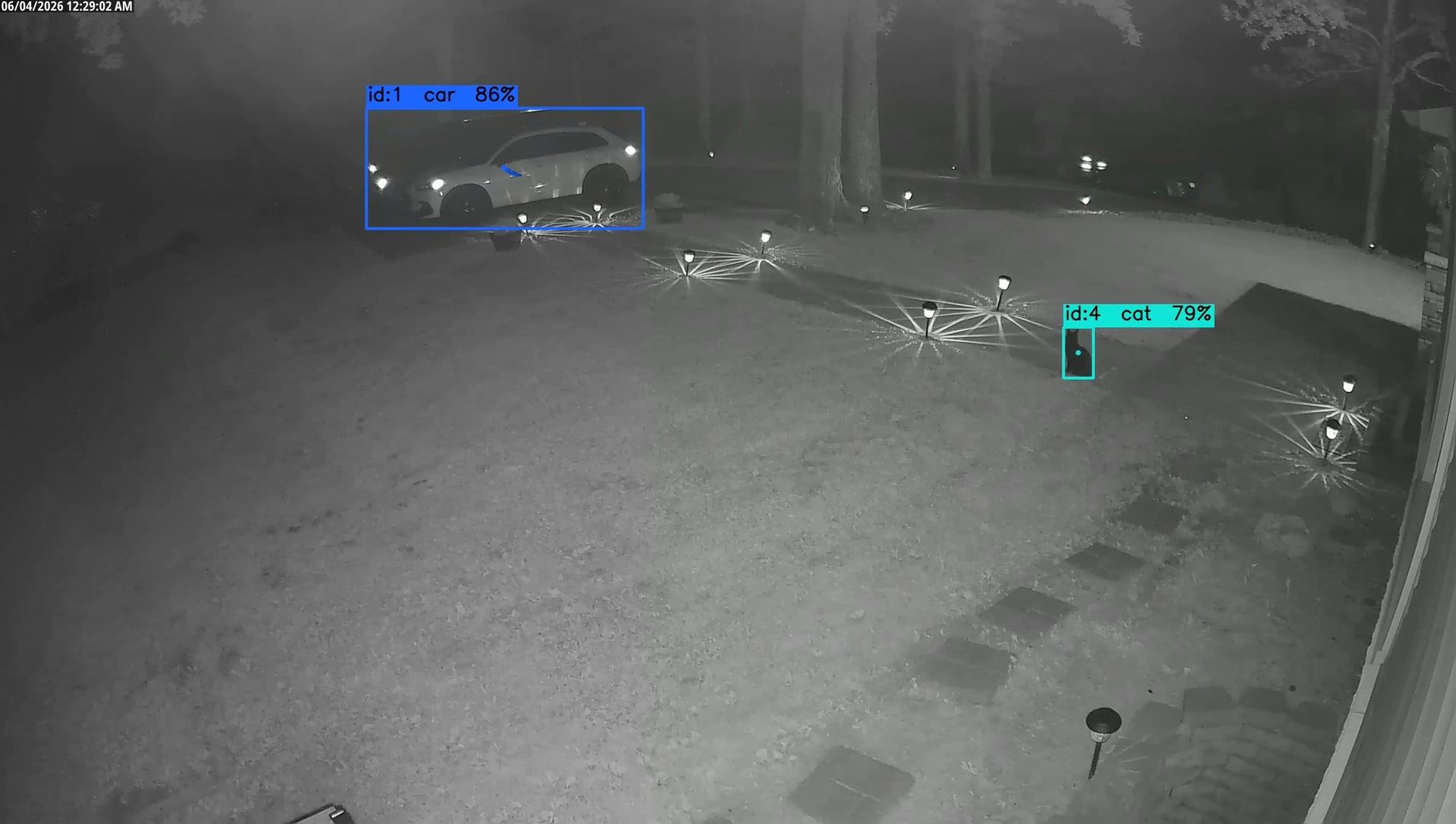 The front yard at night on infrared from the Driveway camera, the solar path lights blooming into starbursts, with a black cat on the lawn boxed as cat 0.79 and two parked cars carrying steady car boxes